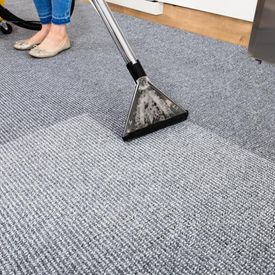 A carpet getting cleaned by one of our team