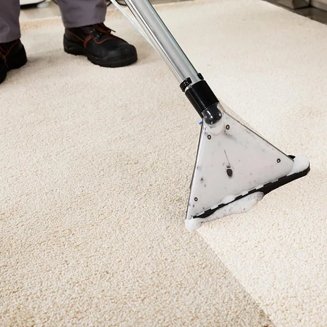 A carpet being cleaned with water by our team