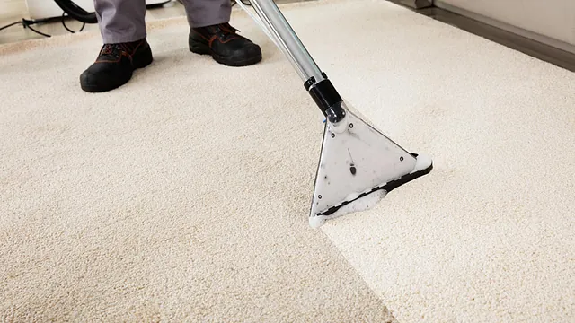 A carpet being cleaned with water by our team